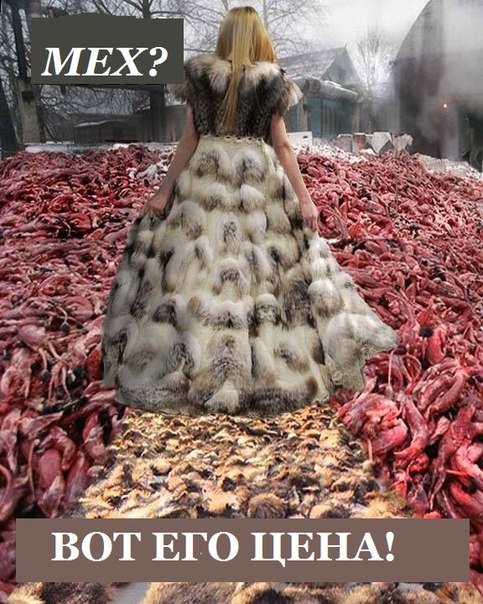 Изготовление меха - жестокое обращение с животными.